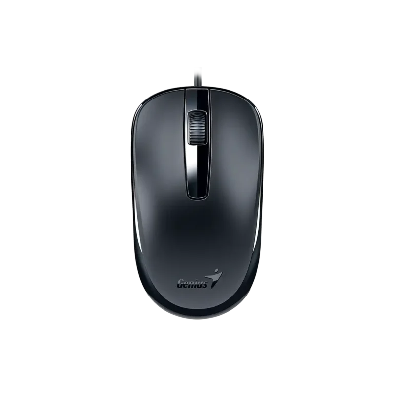 Mouse Genius DX-120 USB Black